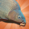APK Simulator Memancing Ikan Mas